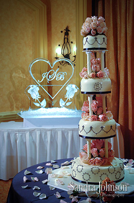 Best Gaylord Palms Resort Wedding photographer - Sandra Johnson (SJFoto.com)